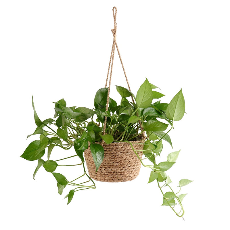 Macrame Plant Storage Basket Kruma (3 Colors)