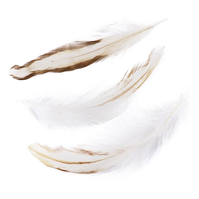 Macrame Feathers Clarke (100 Pcs)